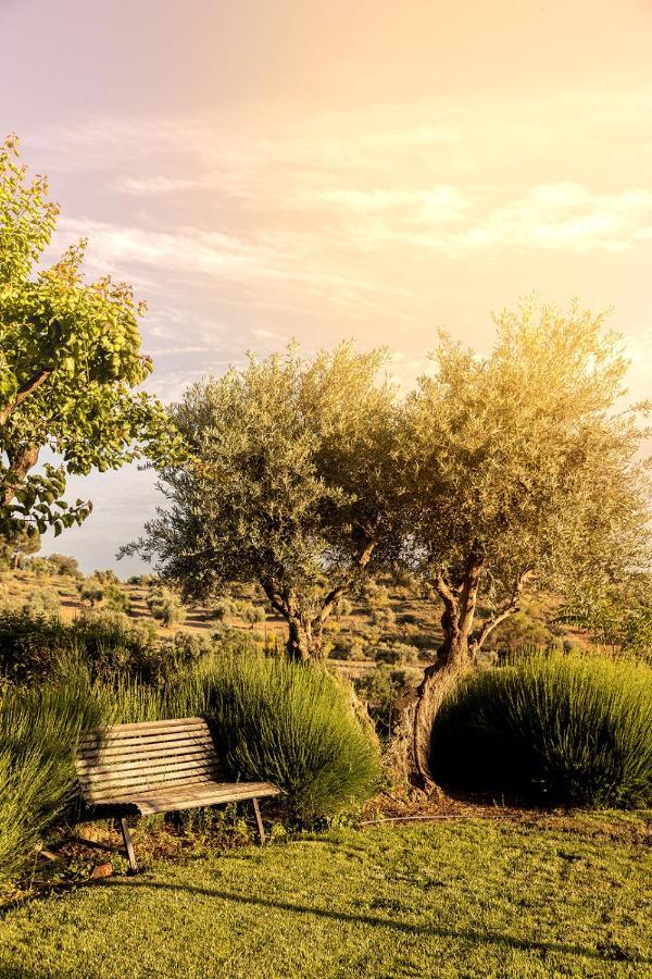 טולדו Casa Rural Cigarral Del Pintor מראה חיצוני תמונה